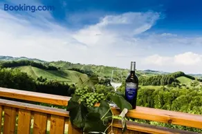 Weingut- Gästezimmer Marko - Image 3