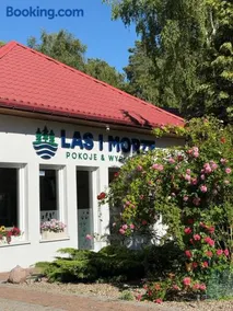 Las i Morze - Dźwirzyno - Image 1