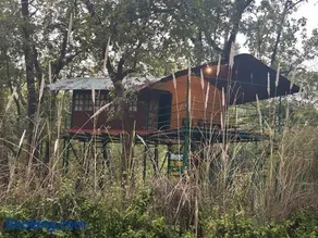 Treehouse at Kamp - Image 1