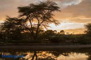 Ziwa Bush Lodge - Image 3