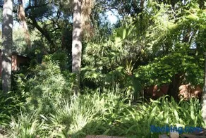 Fern Cottage - Image 3