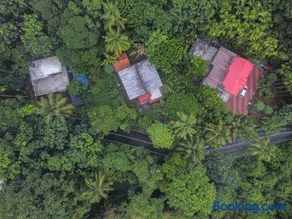 Moss Perch - An immersive rainforest experiential stay - Image 3