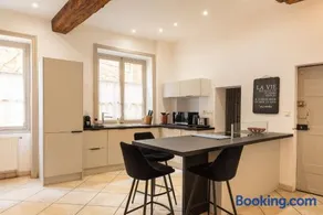 Duplex Jardin Privé et Vue sur le Vieux-Lyon - Image 1