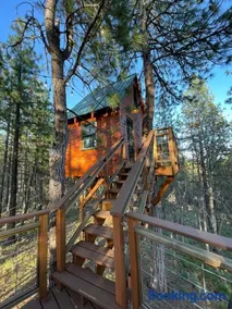 Treehouse Ranch - Image 2