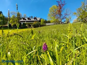 Penzion Medvídek - Image 4