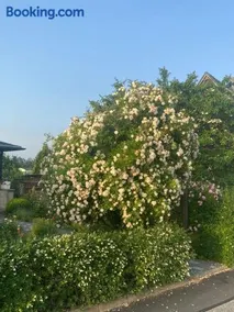 Ferienwohnung Hinterhermsdorf Glaser - Image 1