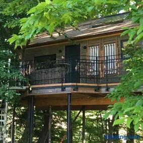 Baumhaus auf dem Kellerberg - Image 2
