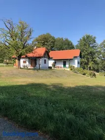 Kellerstöckl Postrumer Weinberg 49 - Image 2