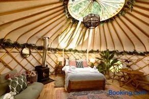 Hazel Tree Yurt - Eavestone Lake - Image 1