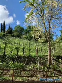 La Locanda di Campagna - Image 3