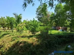 Up the Farm White House Talay Bua Daeng - Image 1
