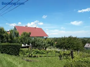 Bencze Vendégház Zalakaros - Image 3