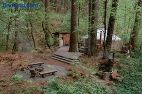 Your private Yurt in the woods - Nevada City - Image 2
