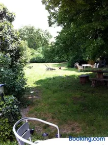 SOUS LE TILLEUL CENTENAIRE - Image 3