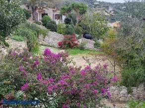 Yiannas Studio - Image 1