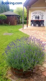 Villa Rose - Image 2