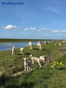 Gaststätte Bongsiel 'Dat Swarte Peerd' - Image 3