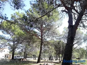 Eco Secluded apartments Zabodarski - Image 1