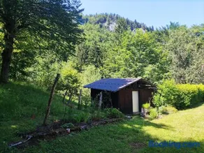 Ferienhaus Bärschwendi - Image 3