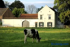 La Vache Contente - Image 2