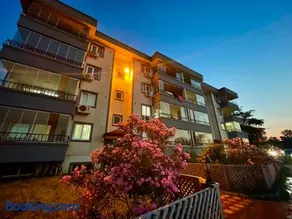 Ünye Kavaklar Holiday Houses - Image 1