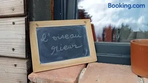 l'oiseau rieur - Image 3