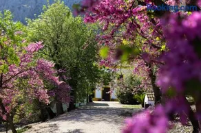 Casa Rural El Ayozar - Image 2