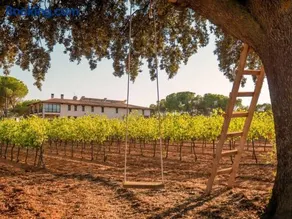 Casa Rural en Bodega. La posada de Vitis - Image 3
