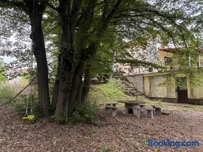Cabana Lacul Surduc - Image 2