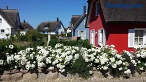 Seestern - Image 1