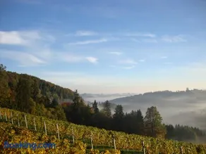 Ferienhaus Weingut Bauer - Image 4