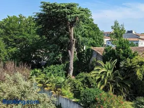 Séjour de luxe au cœur de Mainxe, avec truffe et cours de cuisine, idéal pour 4 couples - Image 3
