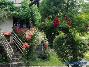 Luylyana Guesthouse - Image 5