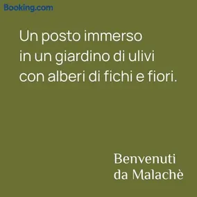 Malachè - Image 3