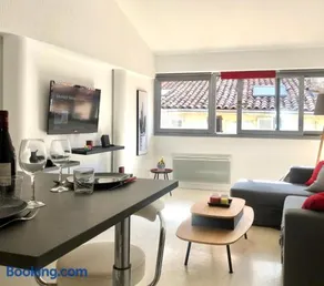 Loft sous les toits lumineux - Capitole-Daurade-Esquirol - Wifi - Image 1