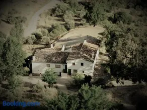 Mesoncillo NEO - Image 1