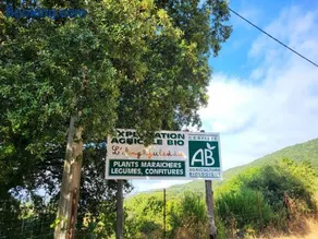 L anghjuledda 2 - Image 1