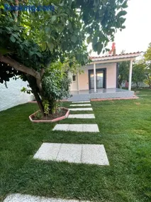 Kanai Konuk & Zeytin Evi - Image 3