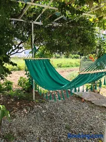 Kampos Family Garden - Image 5