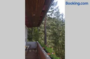 Viteitaliane - Chalet nel bosco - Image 3