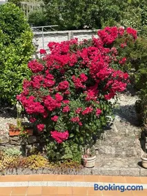 Casa Nanda - Image 2