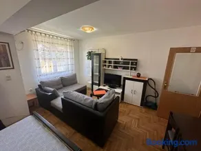 Tulipan - Image 4