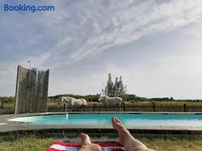 Nádas Tanya 2 maisons en pleine nature et Piscine - Image 5