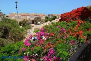 قريه اللوتس الساحل الشمالى روف - Image 1