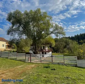 Casa de sub Salcie - Image 1