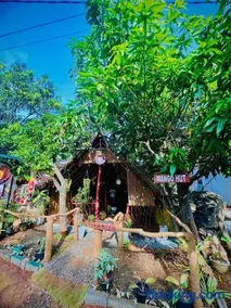 M D Travel Agent - Image 2