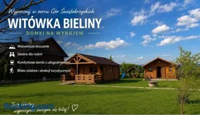 Witówka Bieliny - Image 1