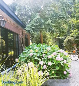 Vakantiehuis ABEL - Image 3