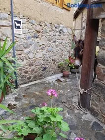 Irene's House - Image 5