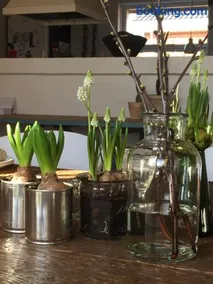 Anita's B & B - Image 5